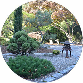 circle-asian-gardens